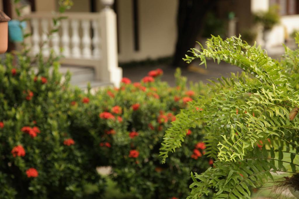 Hotel Jardim 포르탈레자 외부 사진